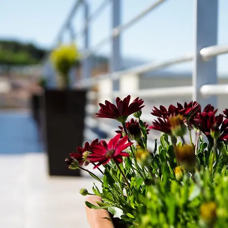 Casas Do Picoto Apartment Chaves